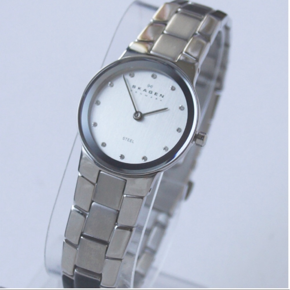 Skagen Stainless Stainless Steel Link Watch